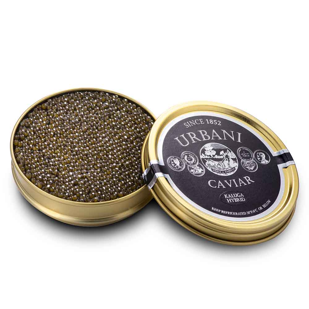 Kaluga Hybrid Caviar - Urbani Truffles