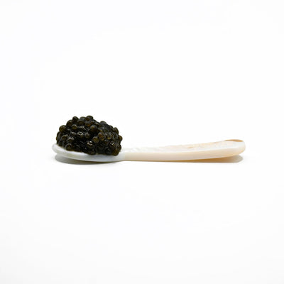 Caviar Spoon - Urbani Truffles